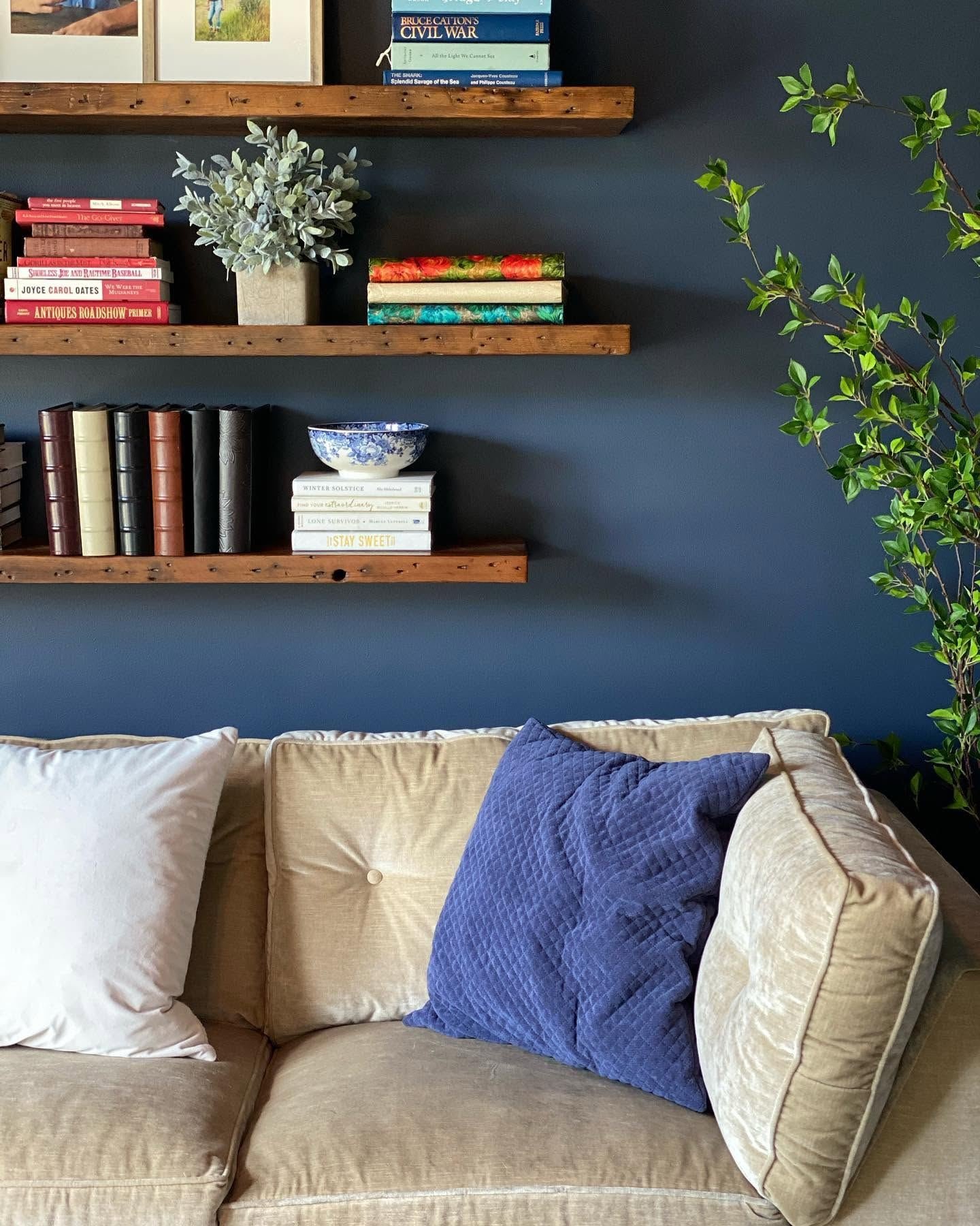 Reclaimed wood shelves on a navy wall above a velvet sofa